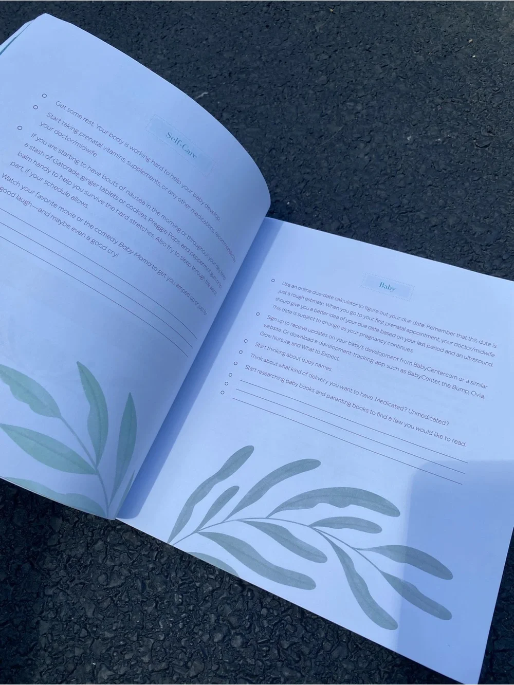 First time mom’s pregnancy baby announcement journal